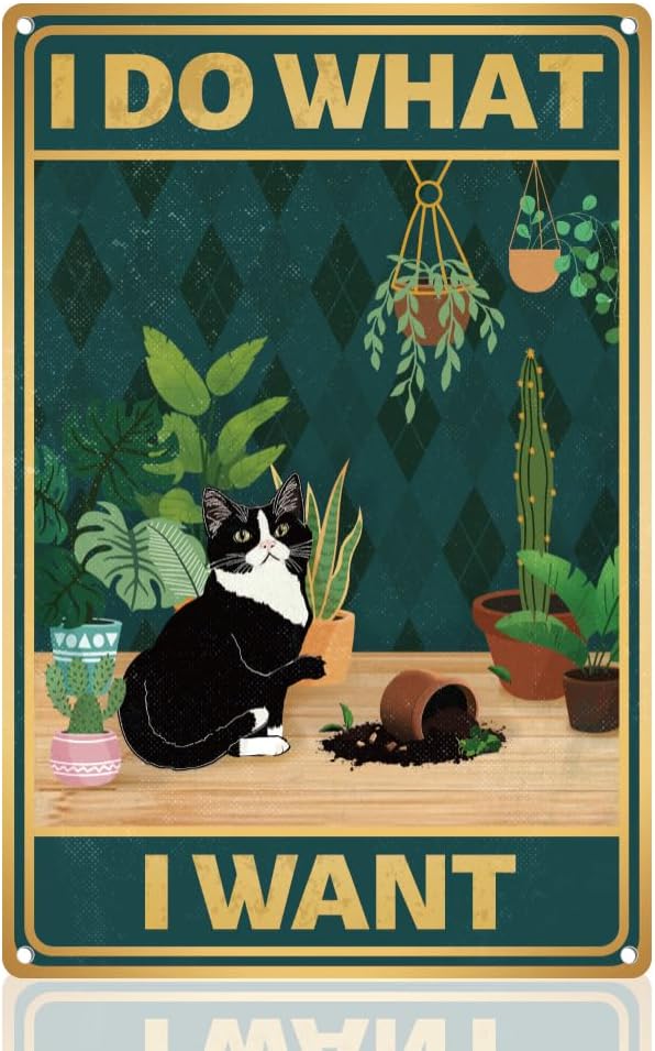 Y1, Uroczy Kot Rozbijający Don – Embroidery Garden recenzja i cena